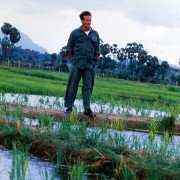 Good Morning, Vietnam - galeria zdjęć - filmweb