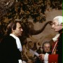 Amadeusz - galeria zdjęć
