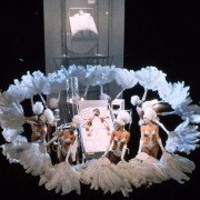 All That Jazz - galeria zdjęć - filmweb