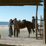 Demony prerii - galeria zdjęć - filmweb
