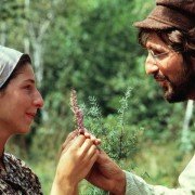 Fiddler on the Roof - galeria zdjęć - filmweb