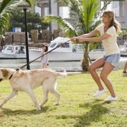 Marley & Me - galeria zdjęć - filmweb