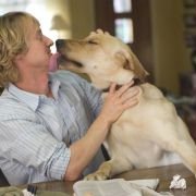 Marley & Me - galeria zdjęć - filmweb