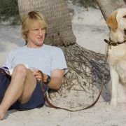 Marley & Me - galeria zdjęć - filmweb