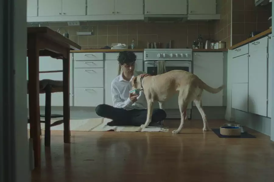 Tore - galeria zdjęć - filmweb