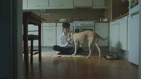 Tore - galeria zdjęć - filmweb