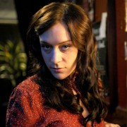 Chlo&euml; Sevigny