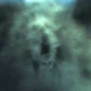 The Fog - galeria zdjęć - filmweb