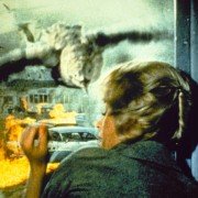 Ptaki - galeria zdjęć - filmweb