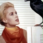 The Birds - galeria zdjęć - filmweb
