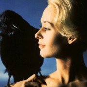 The Birds - galeria zdjęć - filmweb