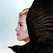The Birds - galeria zdjęć - filmweb