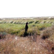 La isla mínima - galeria zdjęć - filmweb