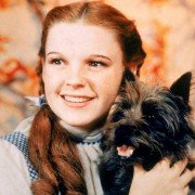 Czarnoksiężnik z Oz - galeria zdjęć - filmweb