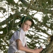 Pajęczyna Charlotty - galeria zdjęć - filmweb