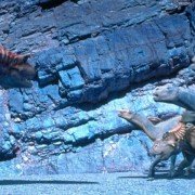 Dinosaur - galeria zdjęć - filmweb