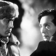 Idiota - galeria zdjęć - filmweb