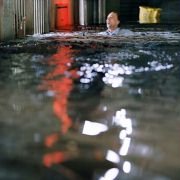 The Bad Lieutenant: Port of Call - New Orleans - galeria zdjęć - filmweb