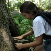 The Magic of Belle Isle - galeria zdjęć - filmweb
