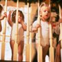 Geniusze w pieluchach - galeria zdjęć