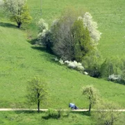 Wino truskawkowe - galeria zdjęć - filmweb
