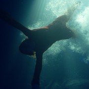 Sea Fever - galeria zdjęć - filmweb