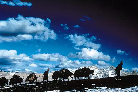 Himalaya - dzieciństwo wodza - galeria zdjęć - filmweb