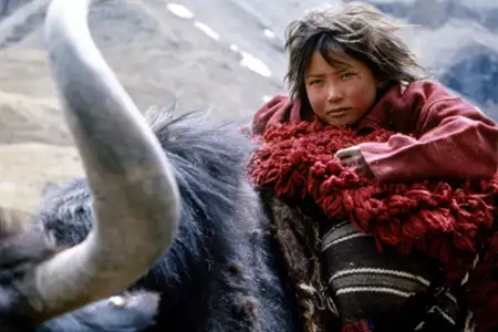 Himalaya - dzieciństwo wodza - galeria zdjęć - filmweb