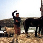 Księżycowy tata - galeria zdjęć - filmweb