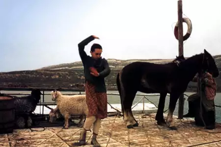 Księżycowy tata - galeria zdjęć - filmweb