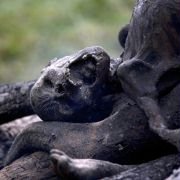 Valhalla Rising - galeria zdjęć - filmweb