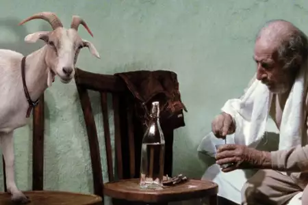 Le quattro volte - galeria zdjęć - filmweb