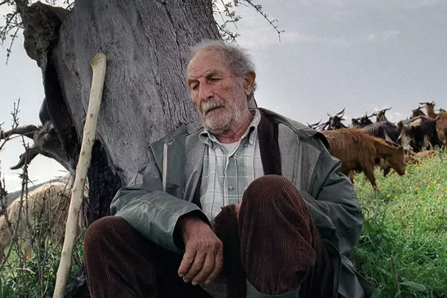 Le quattro volte - galeria zdjęć - filmweb