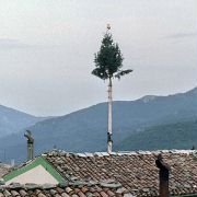 Le quattro volte - galeria zdjęć - filmweb