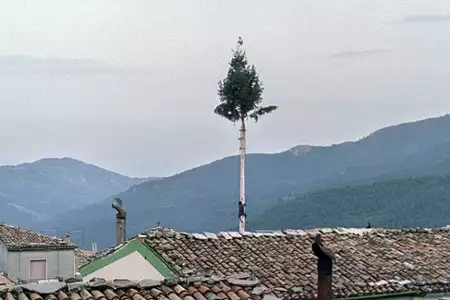 Le quattro volte - galeria zdjęć - filmweb