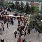 Le quattro volte - galeria zdjęć - filmweb