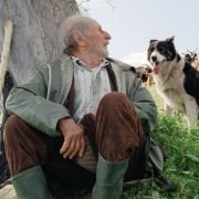 Le quattro volte - galeria zdjęć - filmweb