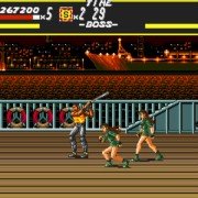 Bare Knuckle: Ikari no Tekken - galeria zdjęć - filmweb