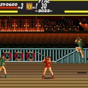 Bare Knuckle: Ikari no Tekken - galeria zdjęć - filmweb