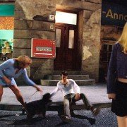  Sonnenallee - galeria zdjęć - filmweb