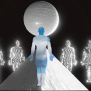 The New Flesh - galeria zdjęć - filmweb