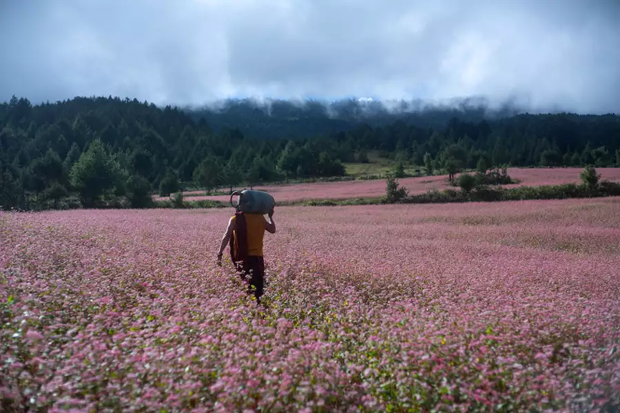 Mnich i karabin - galeria zdjęć - filmweb