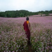 The Monk and the Gun - galeria zdjęć - filmweb