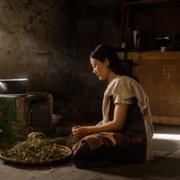 The Monk and the Gun - galeria zdjęć - filmweb