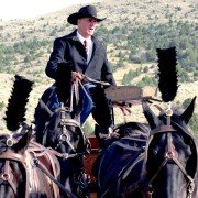 Taking Chance - galeria zdjęć - filmweb