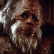 Harry i Hendersonowie - galeria zdjęć - filmweb