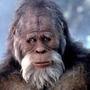 Harry i Hendersonowie - galeria zdjęć - filmweb