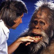Harry i Hendersonowie - galeria zdjęć - filmweb