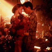 Bed of Roses - galeria zdjęć - filmweb