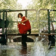 Le fabuleux destin d'Amélie Poulain - galeria zdjęć - filmweb